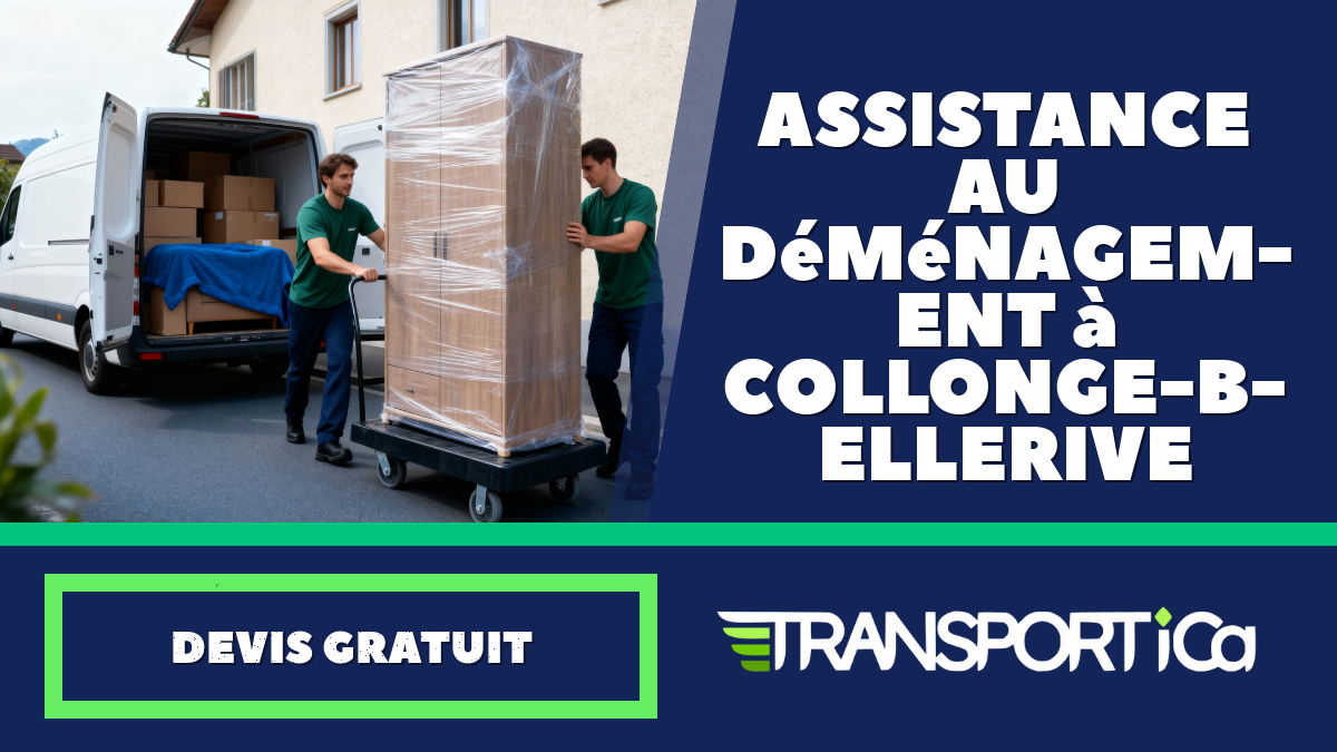 Assistance au déménagement à Collonge-Bellerive