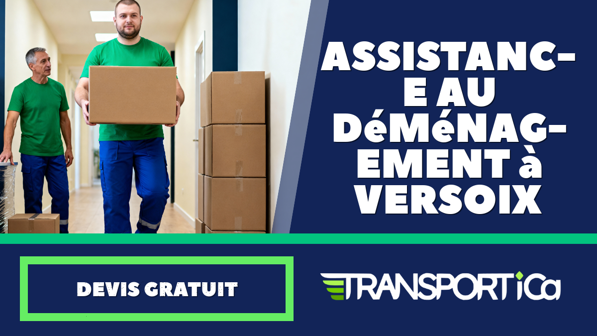 Assistance au déménagement à Versoix