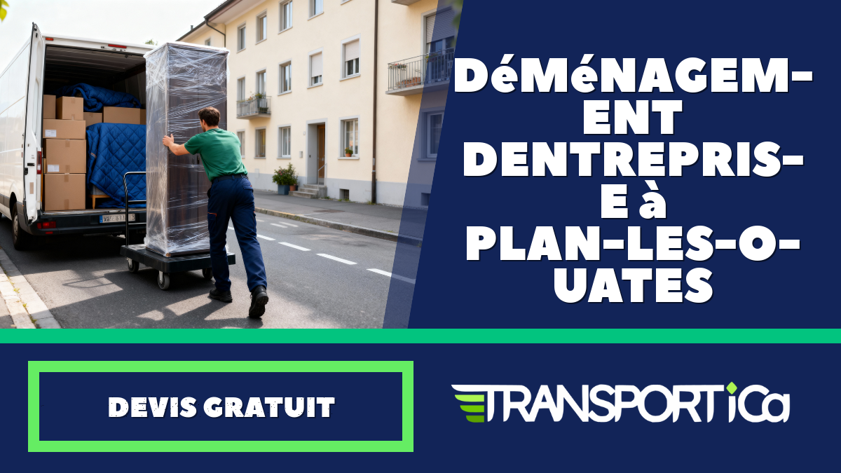 Déménagement d’entreprise à Plan-les-Ouates