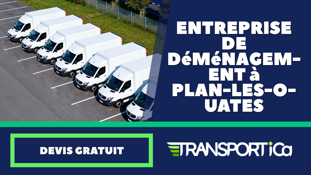 Entreprise de déménagement à Plan-les-Ouates