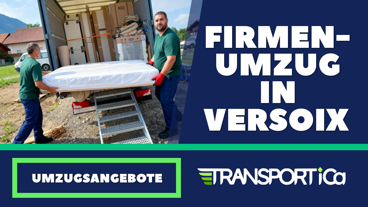 Firmenumzug in Versoix