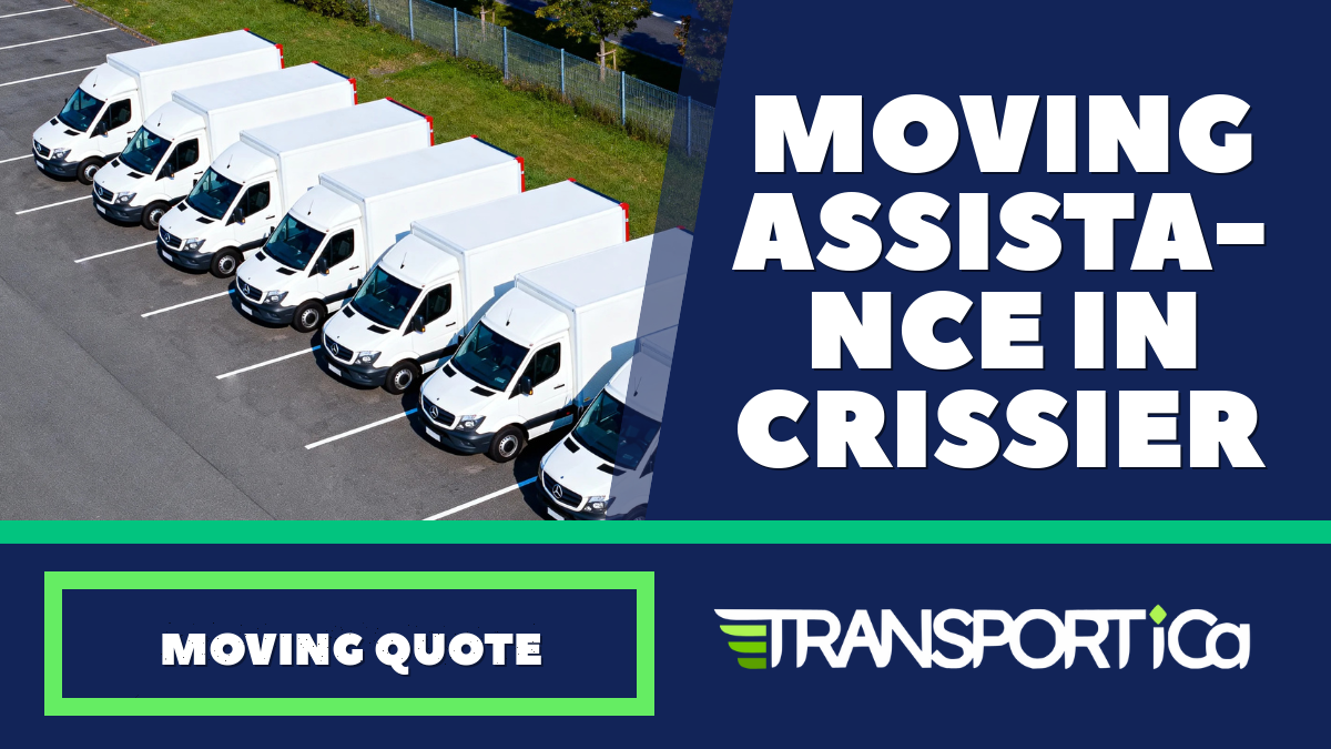 Moving assistance in Crissier