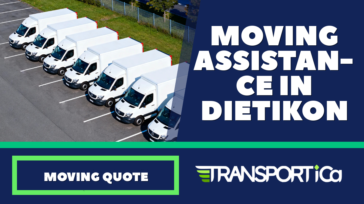 Moving assistance in Dietikon