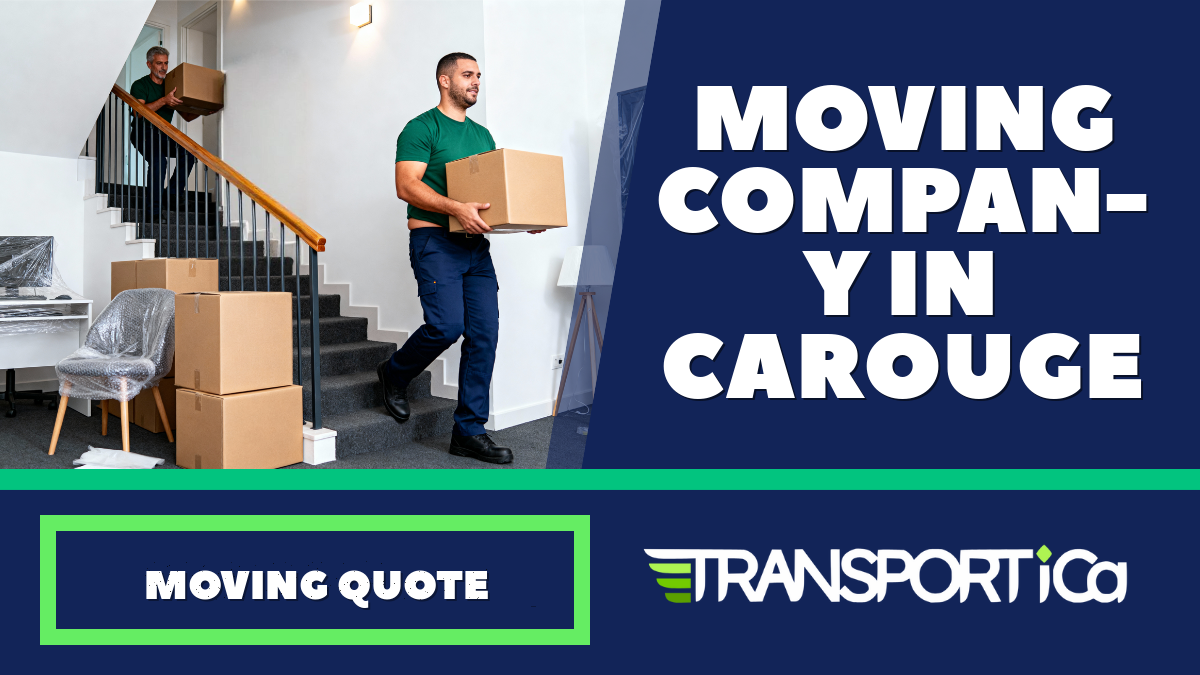 Moving company in Carouge