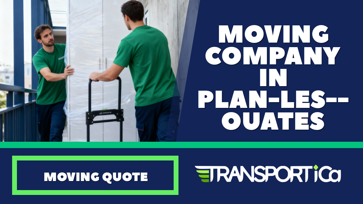 Moving company in Plan-les-Ouates