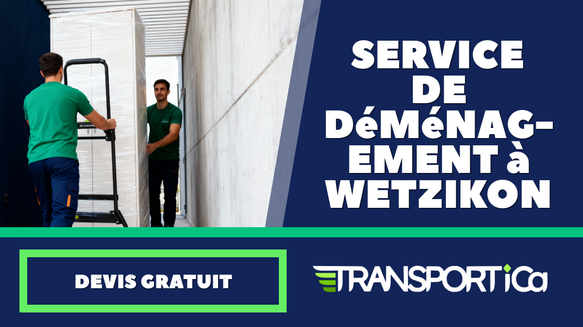 Service de déménagement à Wetzikon