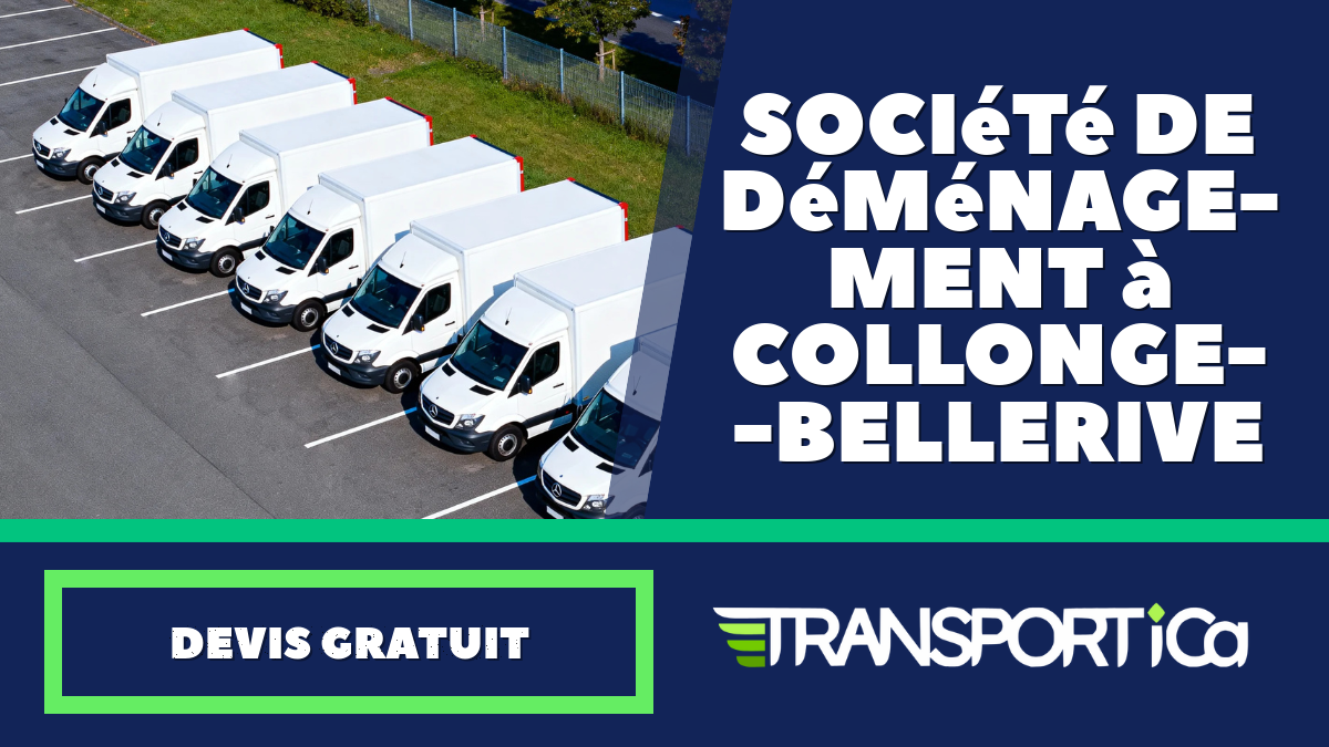 Société de déménagement à Collonge-Bellerive