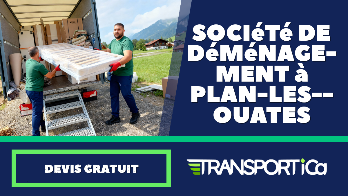 Société de déménagement à Plan-les-Ouates
